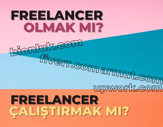 Freelancer olmak mı yoksa çalıştırmak mı -bionluk upwork