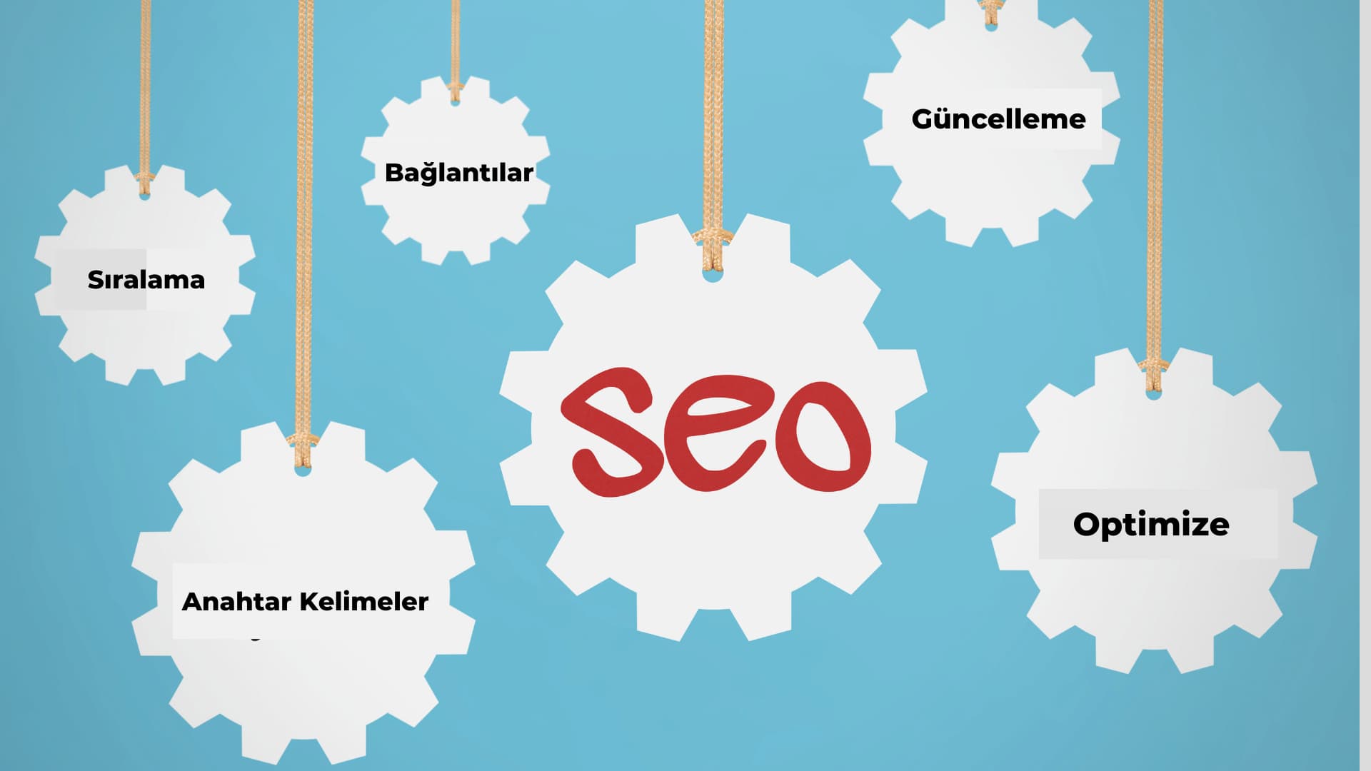 SEO (Search Engine Optimizasyon)