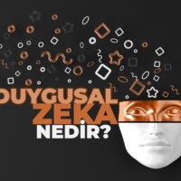 Duygusal Zeka Nedir