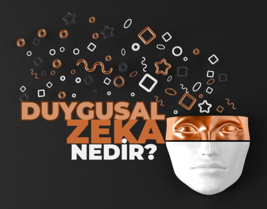 Duygusal Zeka Nedir