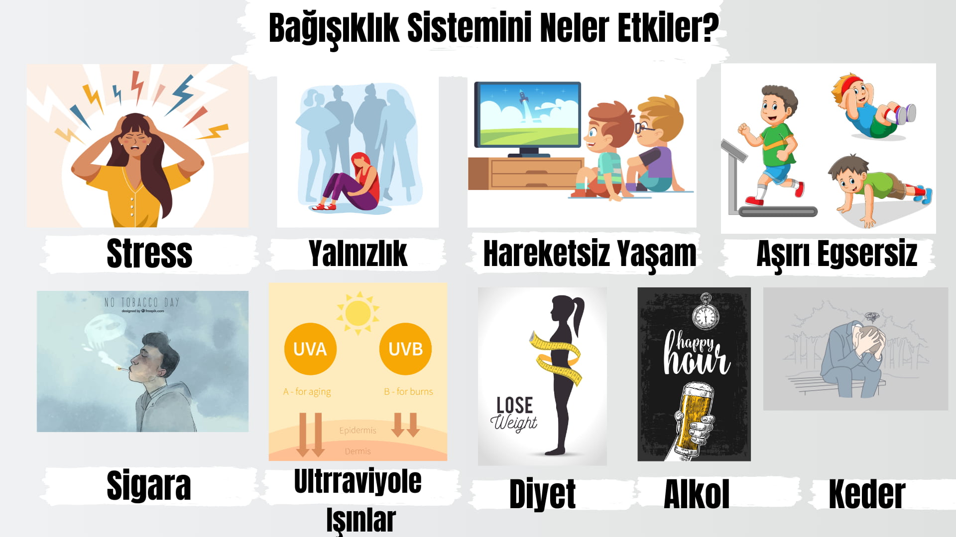 Bağışıklık Sistemini Neler Etkiler