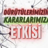 Dürtülerimizin Kararlarımıza Etkisi