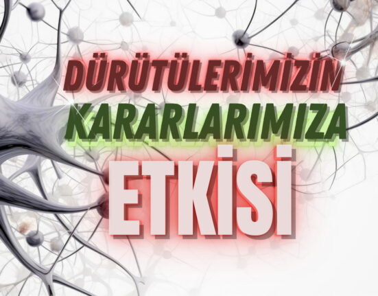 Dürtülerimizin Kararlarımıza Etkisi