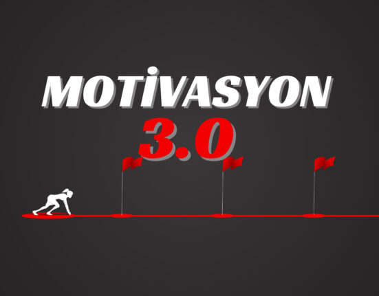 Motivasyon 3.0