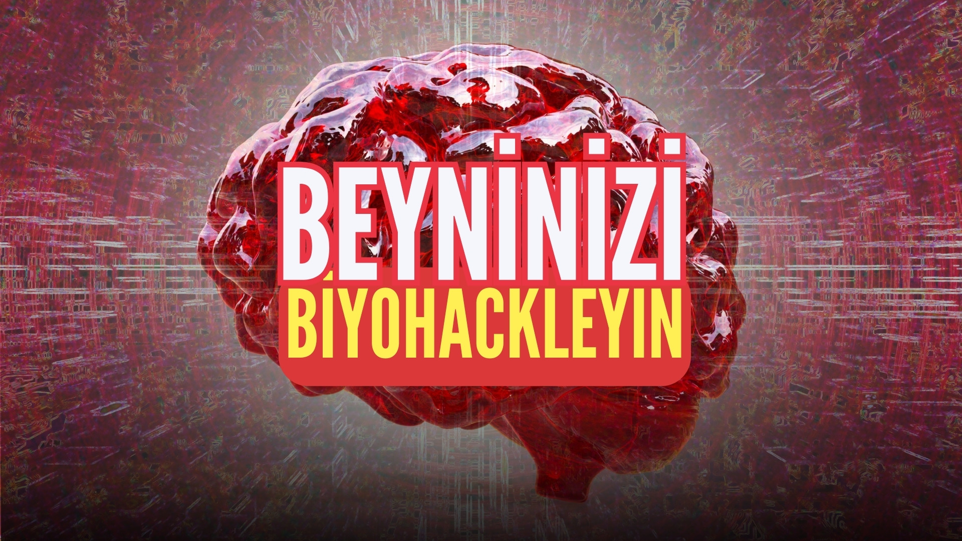 Beyninizi Biyohekleyin