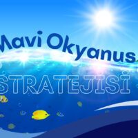 Mavi Okyanus Stratejisi