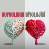 Duyguların biyolojisi ,