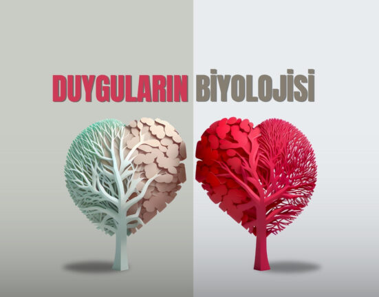 Duyguların biyolojisi ,