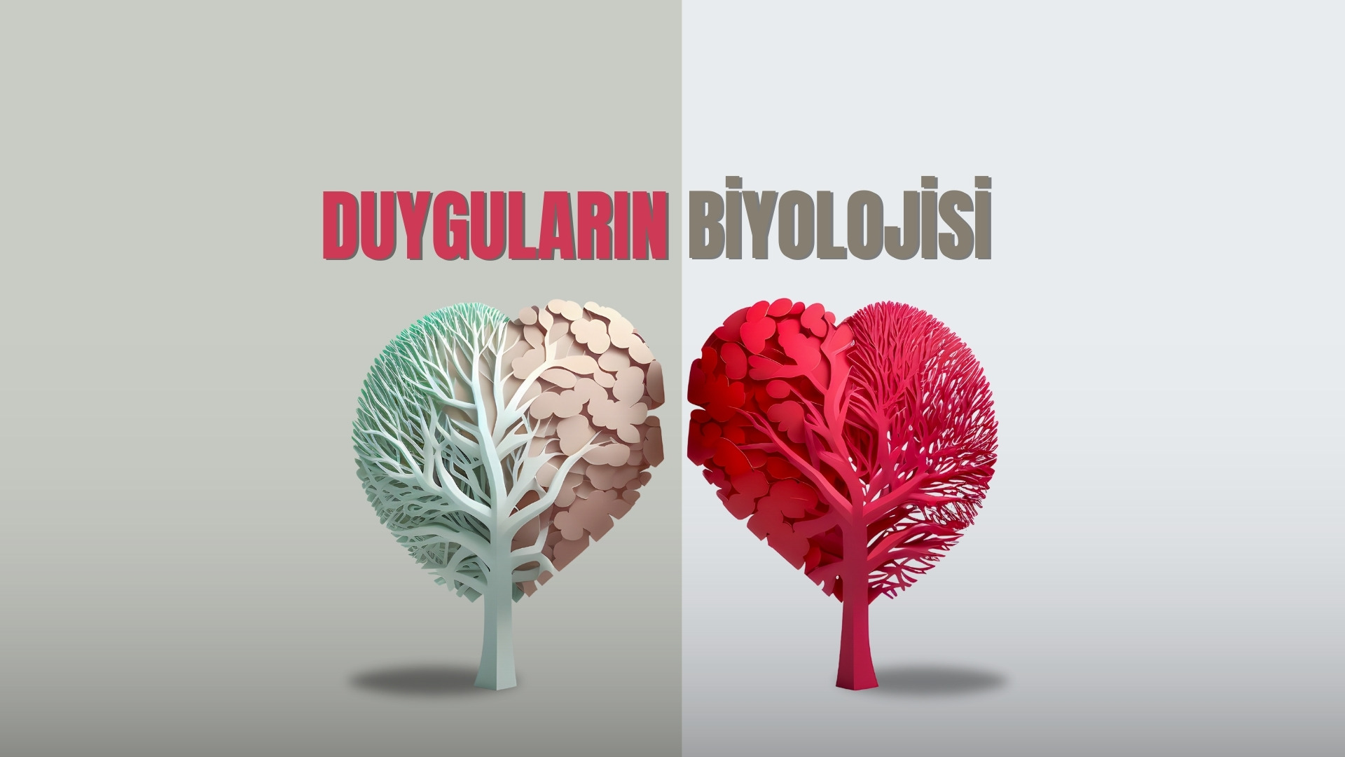 Duyguların biyolojisi ,