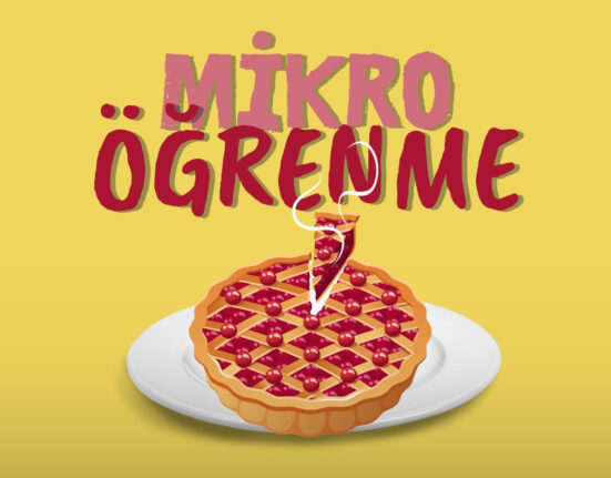 Mikro Öğrenme