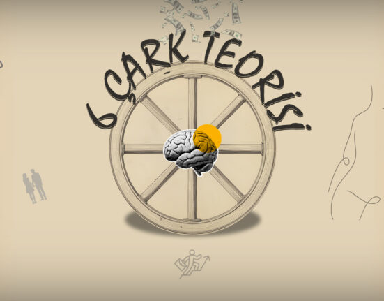 6-Çark-Teorisi