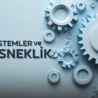 Sistemler ve Esneklik