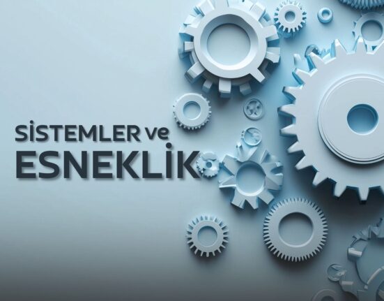 Sistemler ve Esneklik
