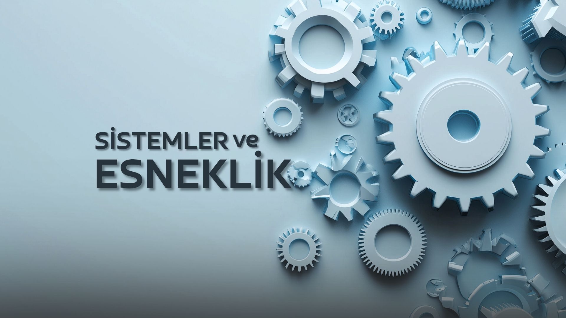 Sistemler ve Esneklik