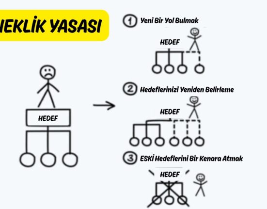 Esneklik Yasası