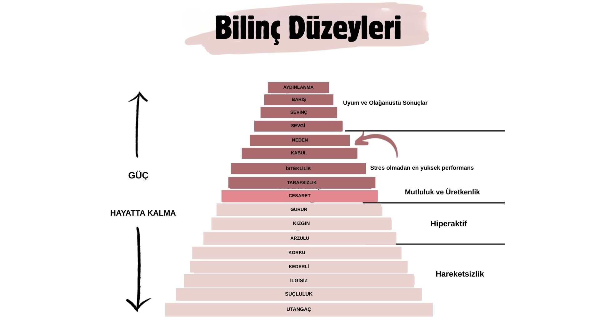 Bilinç Düzeyleri