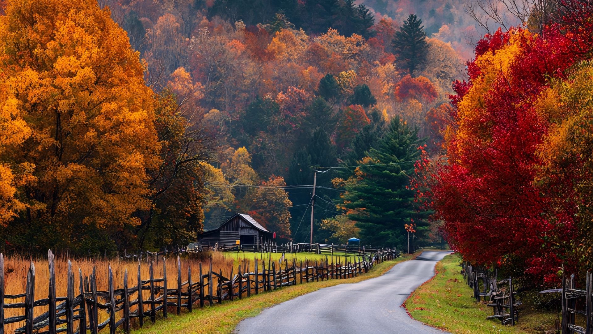 Uzun bir yolun sakin bir manzaraya açılması