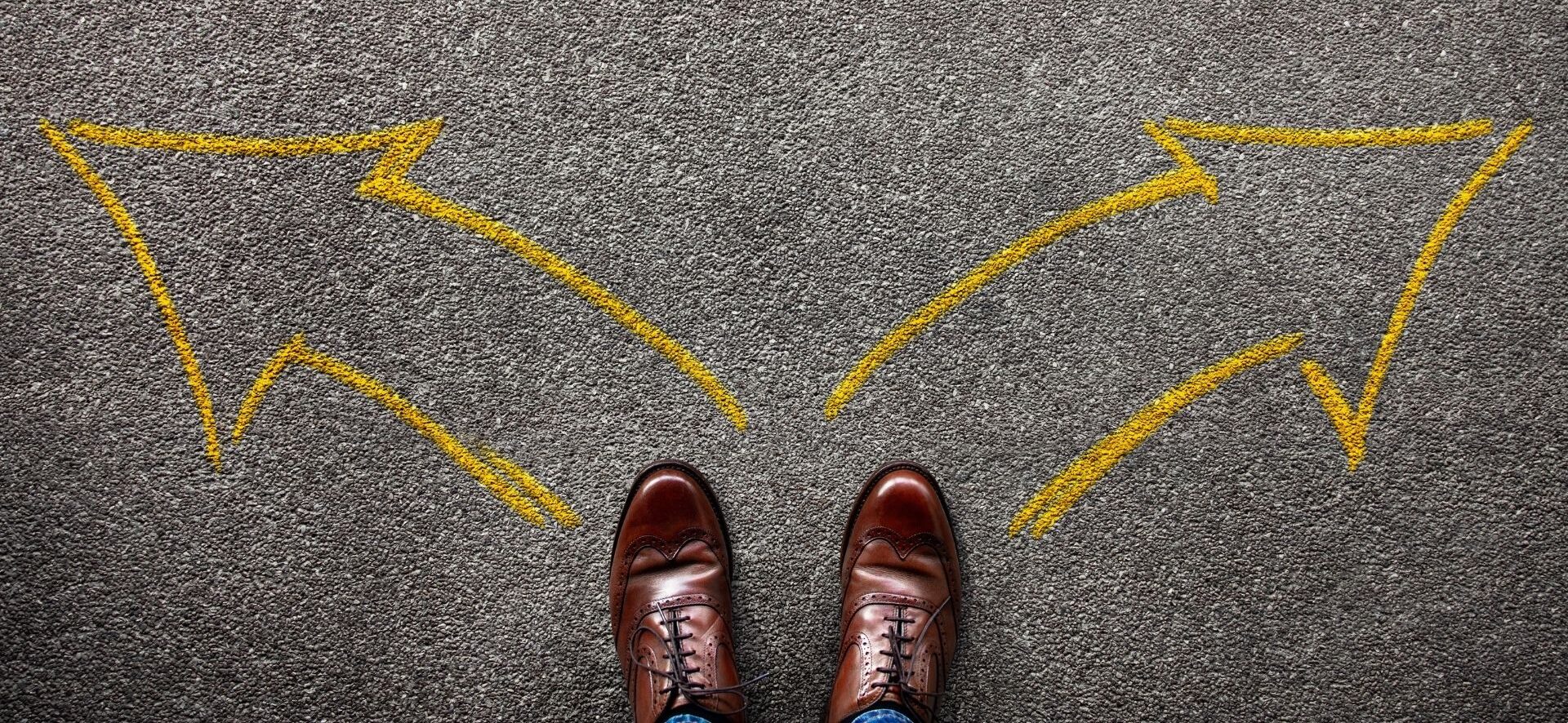 Yol ayrımı tabelası (sağa–sola giden oklar) önünde duran tek bir insan