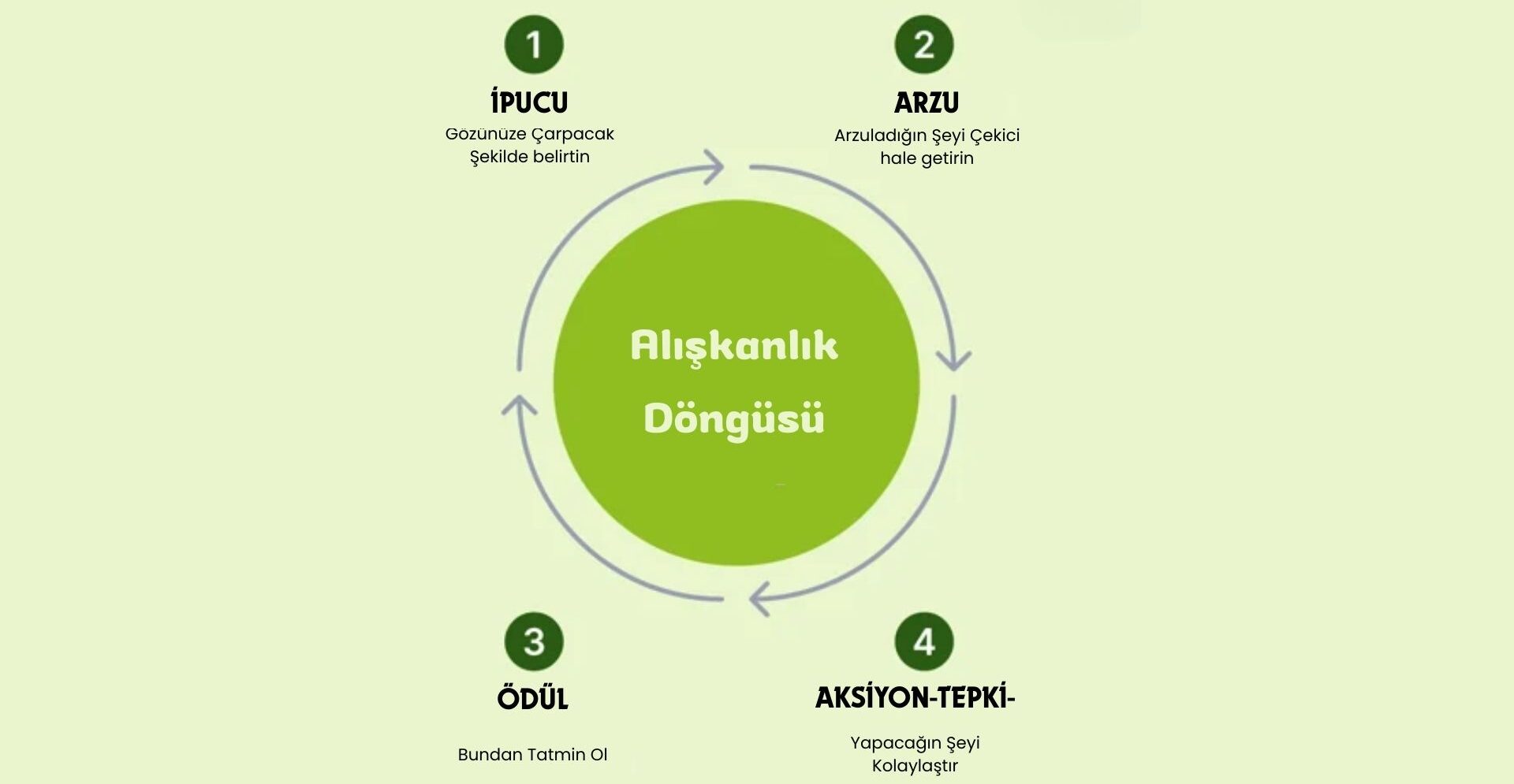 Alışkanlık Döngüsü