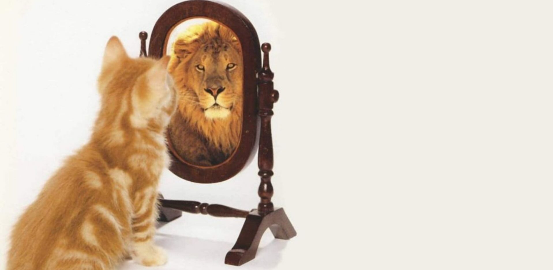 Kimlik: Sen Kimsin, Sana Kim Olduğunu Kim Söyledi?