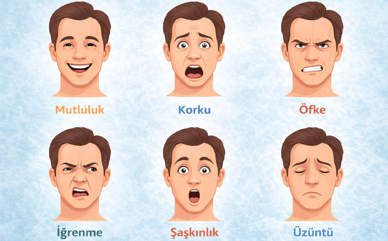 Duyguların Yüz İfadesi