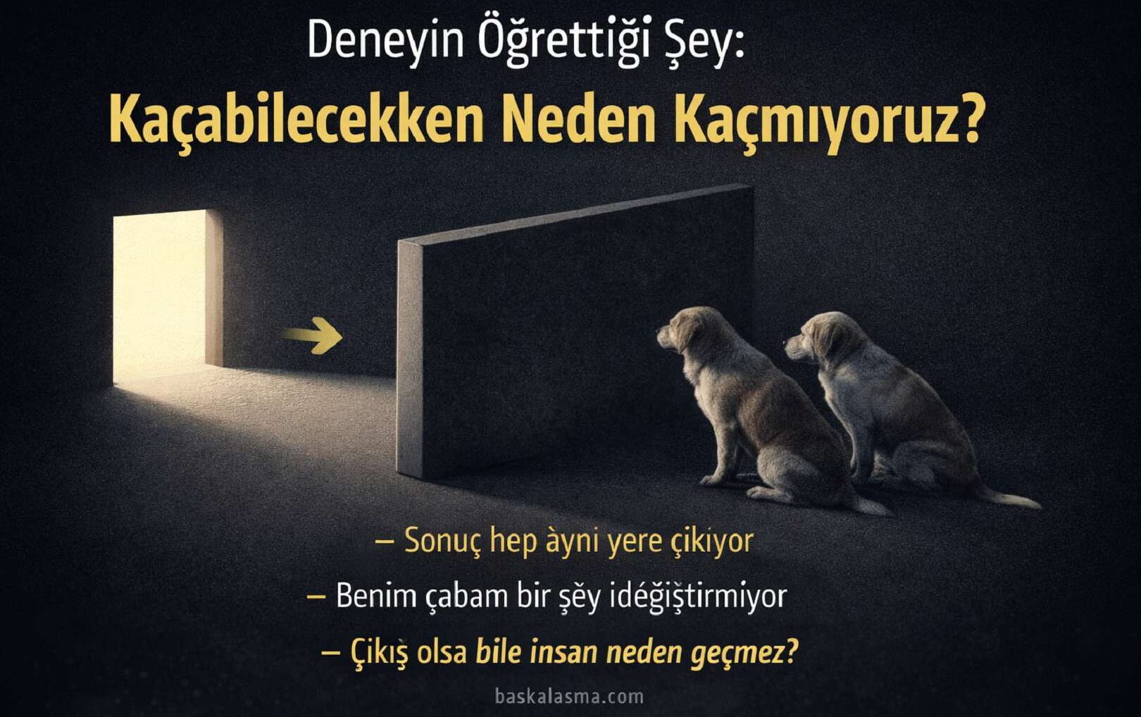 Deneyin Öğrettiği Şey