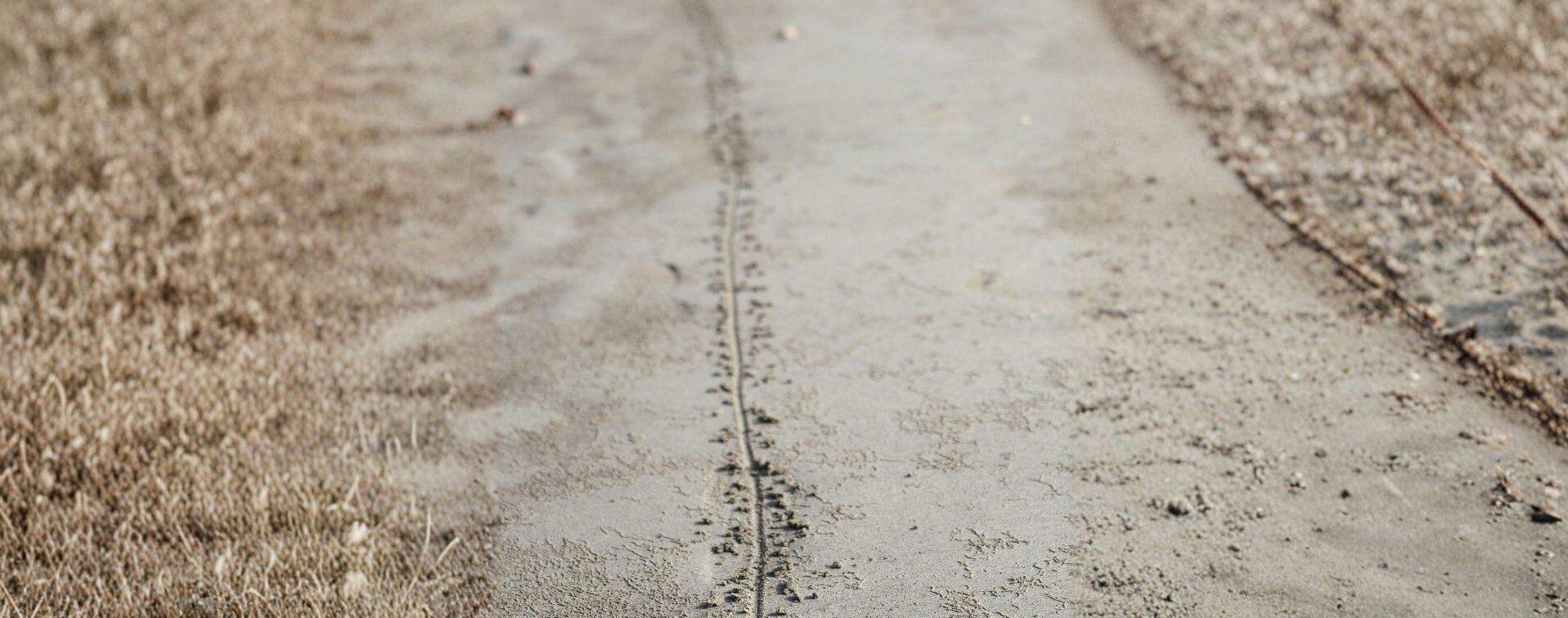 Kumda Bir Çizgi Çiz